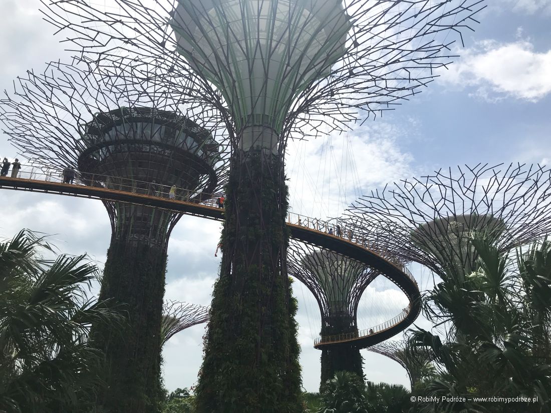 Supertree Gardens by the Bay