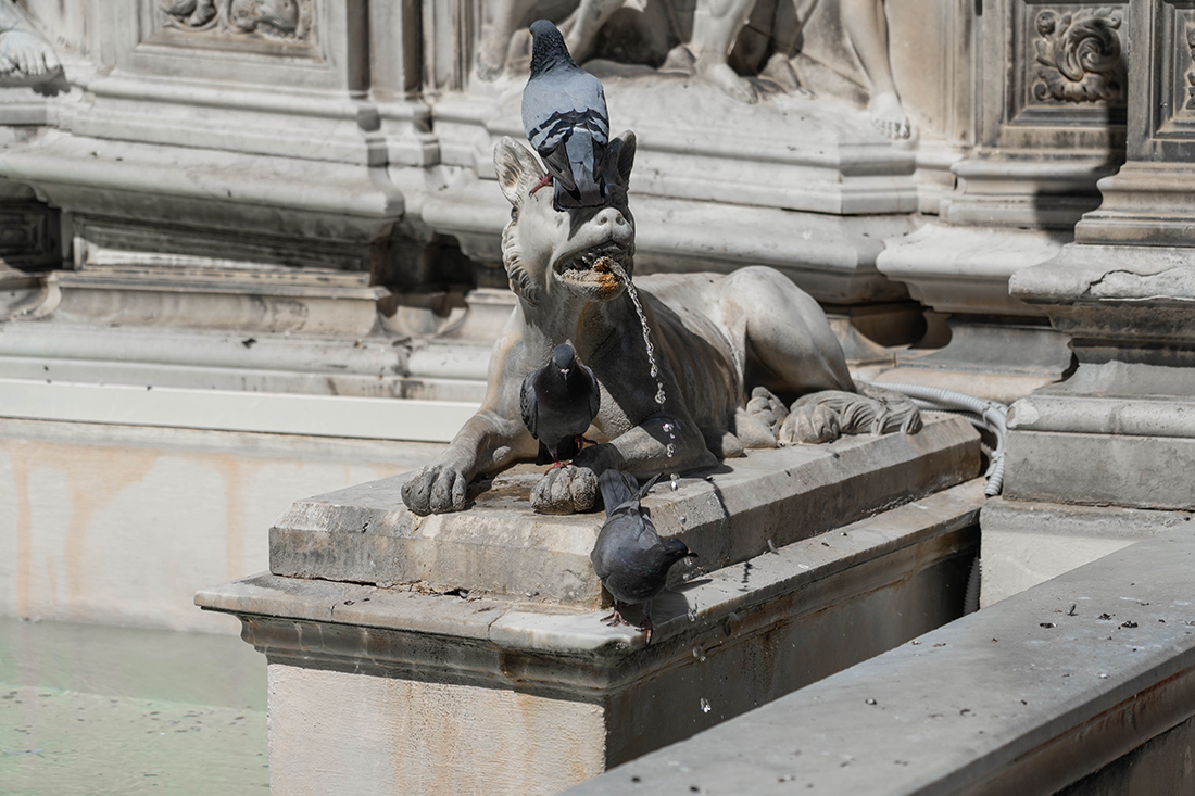 Fonte Gaia na Piazza del Campo w Sienie