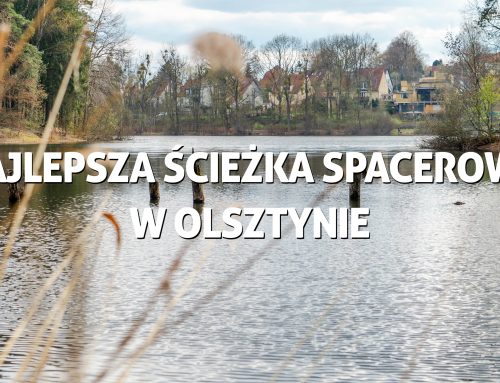 Najlepsza ścieżka spacerowa w Olsztynie – Jezioro Długie i Las Miejski